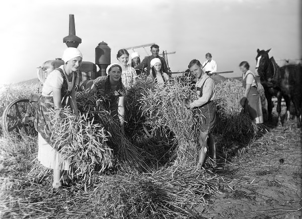 Erntearbeiter binden 1930 Strohgarben, im Hintergrund ein früher Lanz–Traktor.