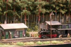 Szene mit Dampflok, kleinem Bahnhof und Kiefernwald im Hintergrund, H0m.