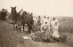 Erntearbeiter um 1932, im Vordergrund zwei Frauen mit Sicheln.