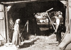 Eine Bäuerin und ein Bauer dreschen um 1935 Getreide mit dem Dreschflegel.