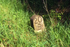 Foto: Alter, verwitterter Kilometerstein im hohen Gras, Aufschrift „20”, neue Zeile „9”.