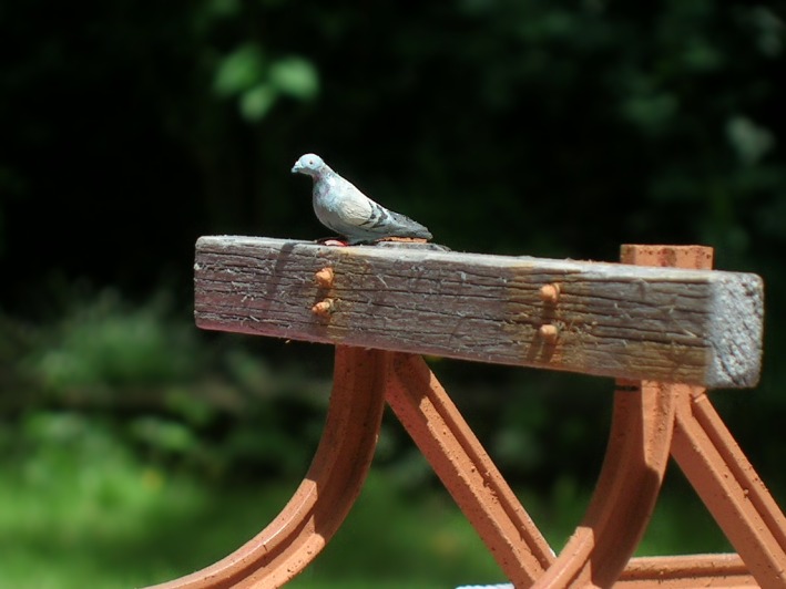 Modellfoto: Eine Taube sitzt auf der Holzbohle eines Prellbocks.