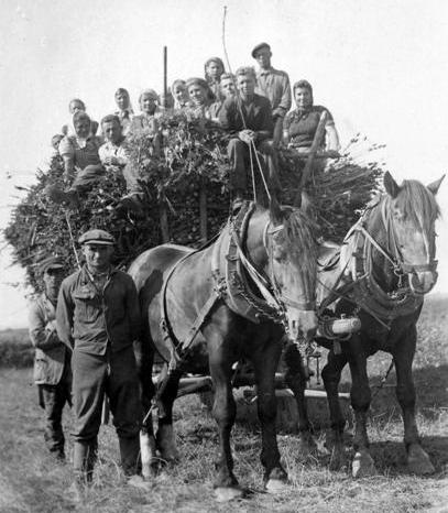 Erntearbeiter und –arbeiterinnen auf einem beladenen Pferdefuhrwerk (1930).