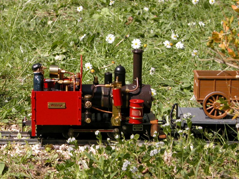 Wilma - eine kleine Echtdampflok von Regner mit rotem Führerstand.