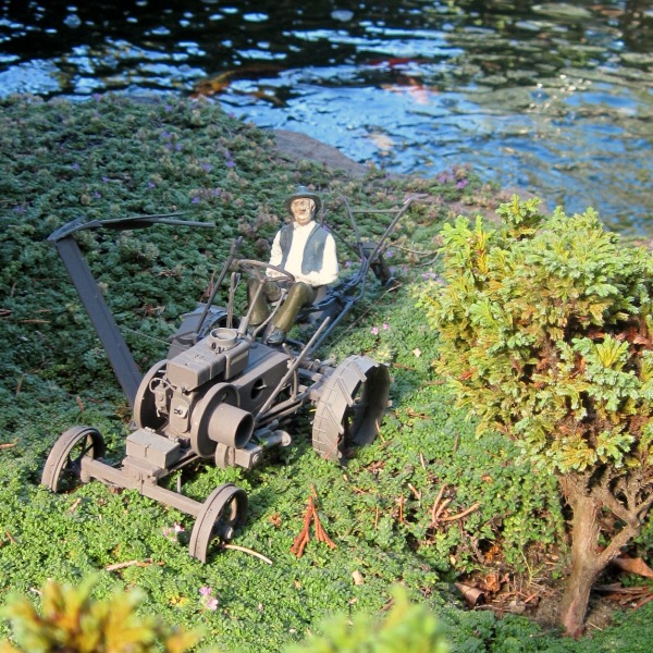 Ein Traktormodell auf der Gartenbahn neben einem Bonsai–Baum.