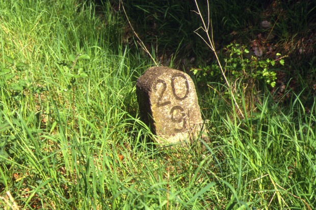 Ein verwitterter Kilometerstein im hohen Gras, Aufschrift „20”, neue Zeile „9”.